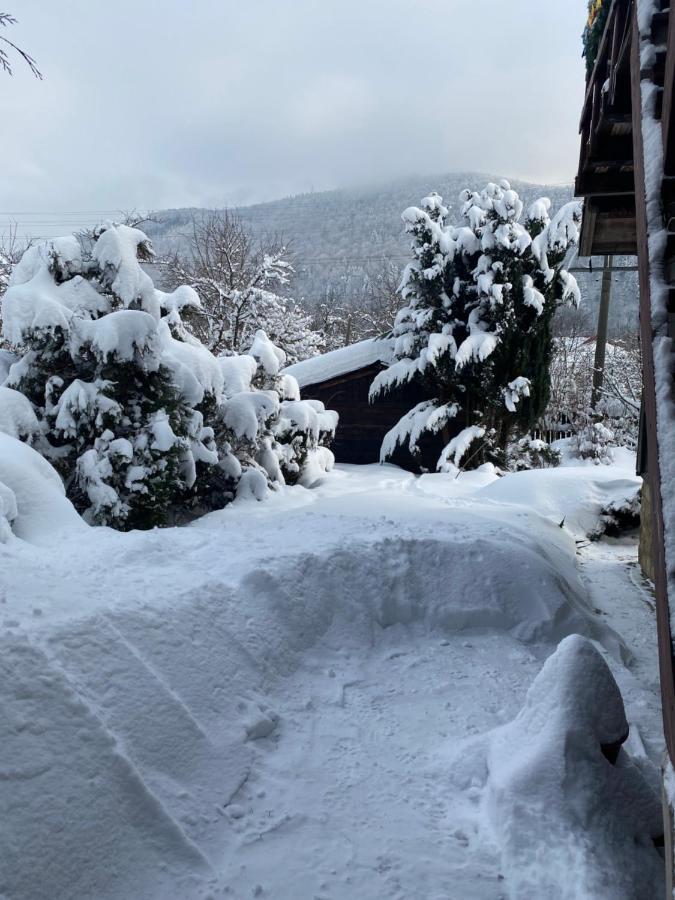 Садиба "У Чубчика" Hotel Yaremche Bagian luar foto