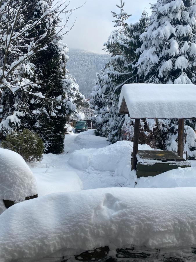 Садиба "У Чубчика" Hotel Yaremche Bagian luar foto