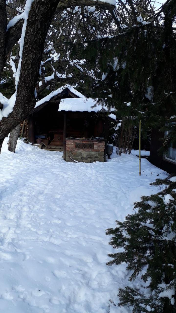 Садиба "У Чубчика" Hotel Yaremche Bagian luar foto